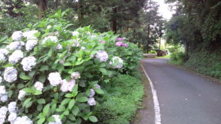20100706155105.jpg